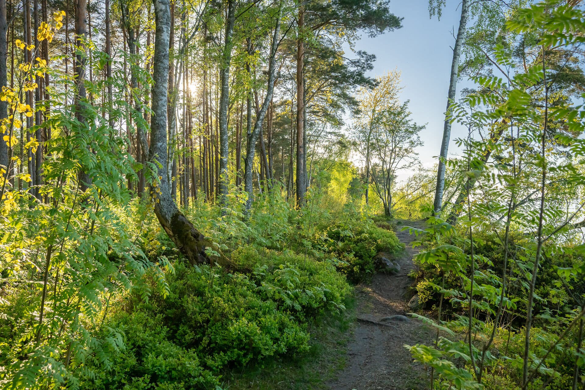 Merekalju tn 1-2, Haabersti, Tallinn, Harjumaa